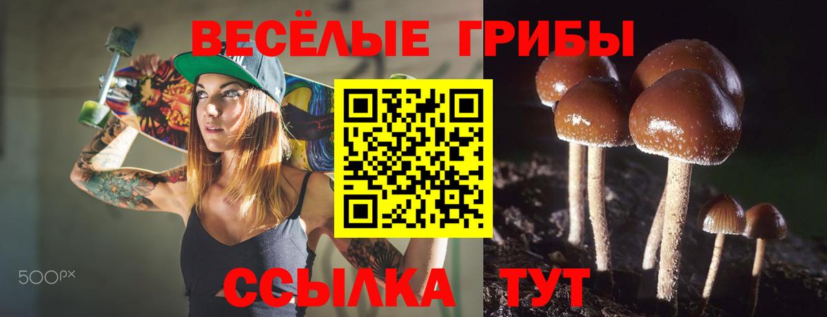 Рузаевка  Галлюциногенные грибы MAGIC MUSHROOMS  Вход с VPN 